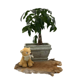 Knuffel tijger